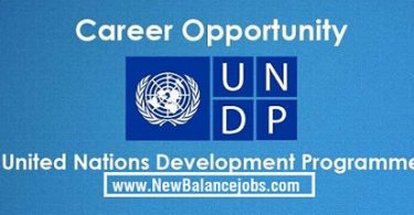 United Nations Development Programme (UNDP) job