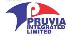 Pruvia Integrated Limited