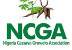 Nigeria-Cassava-Growers-Association-NCGA-recruitment
