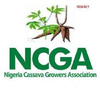  Nigeria Cassava Growers Association (NCGA) recruitment