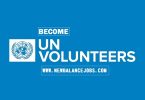 UN Volunteer Jobs in Nigeria