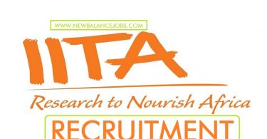 IITA-recruitment