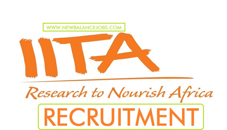 IITA-recruitment