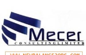Mecer Consulting Limited Recruitment