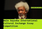 Wole Soyinka Essay Competition