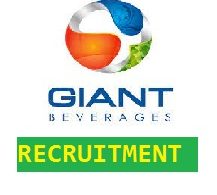 Giant Beverages limited recruitment