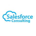 Sales Force Consulting