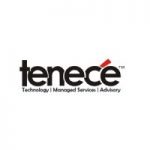 Tenece Professional Services Limited