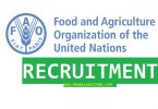 Food and Agriculture Organization of the United Nations (FAO-UN) Recruitment