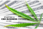 How To Start A CBD Business