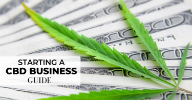 How To Start A CBD Business