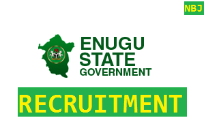 Enugu State Government (enugustate.gov.ng) Recruitment