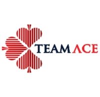 Team Ace jobs