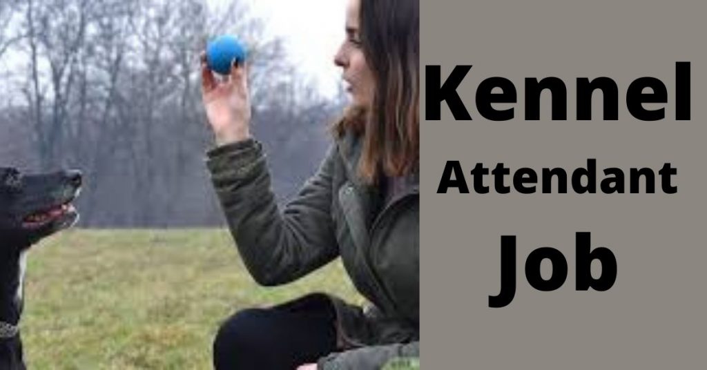 Kennel Attendant Job