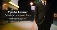What can you contribute to this company