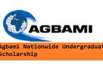 Agbami Nationwide Undergraduate Scholarship