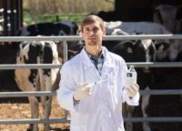 What is Animal nutrition salary? - NewBalancejobs