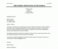 What is Employment Verification?