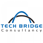 TechBridge Consulting