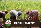 NALDA Recruitment