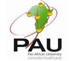 The Pan African University