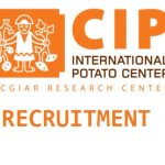 International Potato Center (CIP)