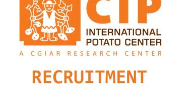 International Potato Center