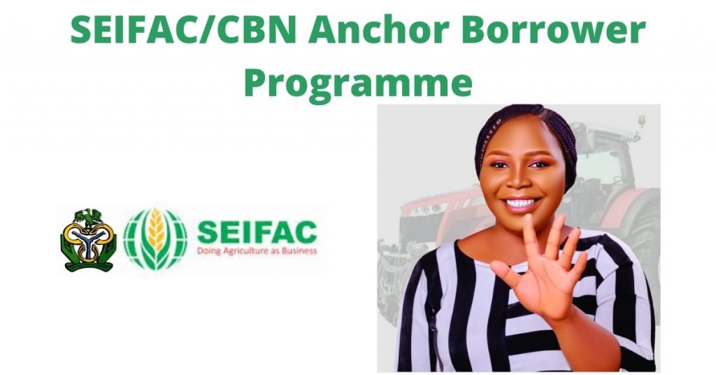 SEIFAC/CBN Anchor Borrower Programme