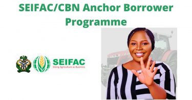 SEIFAC/CBN Anchor Borrower Programme