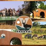 Yankari Game Reserve
