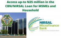 AGSMEIS loan portal