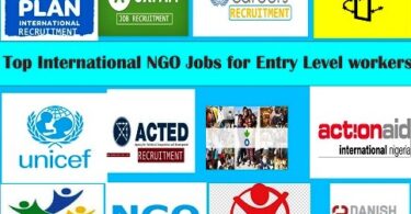 International NGO Jobs for Entry Level workers