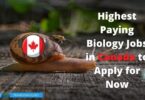 Highest Paying Biology Jobs in Canada to Apply for Now