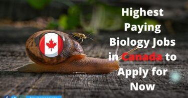 Highest Paying Biology Jobs in Canada to Apply for Now