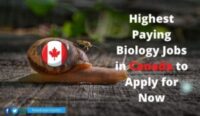 Highest Paying Biology Jobs in Canada to Apply for Now