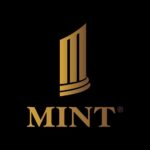 Mint Digital Bank