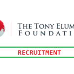 Tony Elumelu Foundation