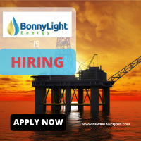 Bonnylight Energy and Offshore Limited