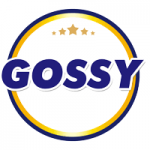 Gossy Warmsprings Limited (GWS)