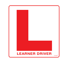 Does my Insurance Covers Learner Driver's