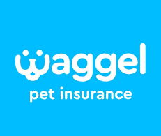 Waggle pet insurance review