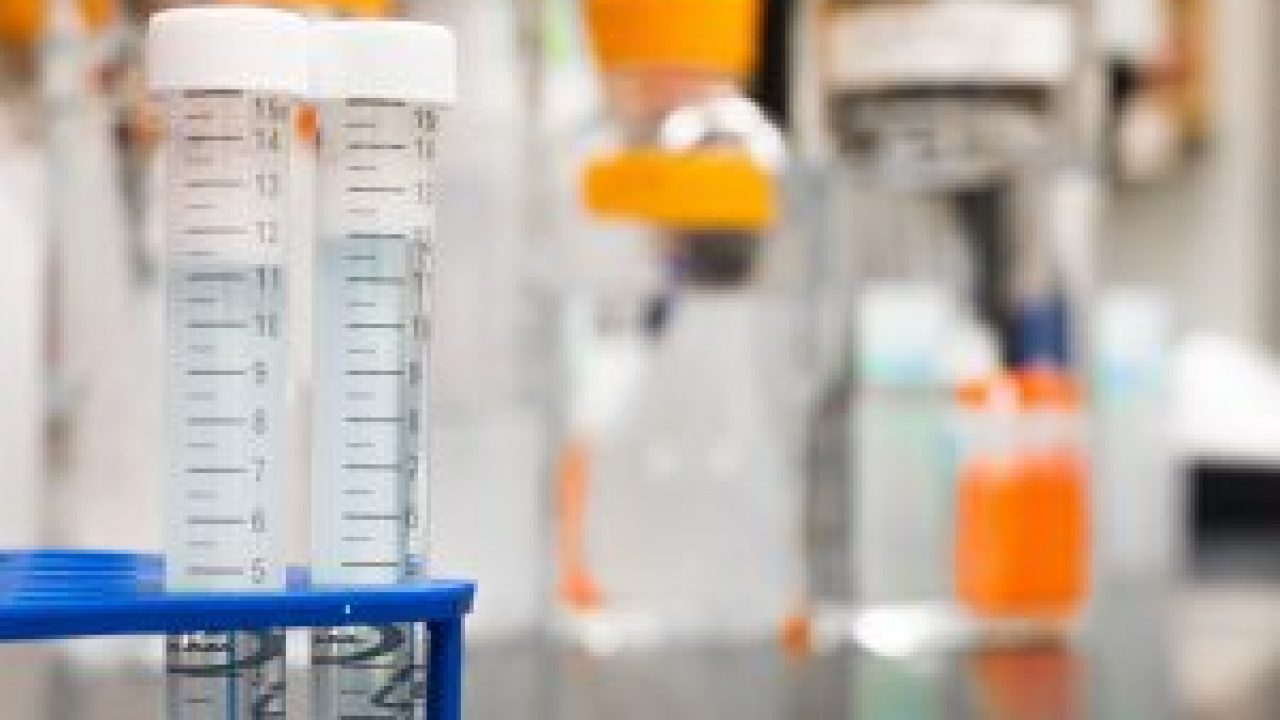 Does Home Depot Drug Test In 2022? (Warning: Must Read)