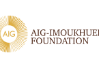 AIG-Imoukhuede Foundation Public Leaders Programme