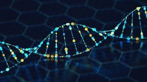 Which career combines DNA technology and Medicine&nbsp; 1