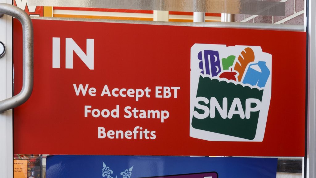 Does Costco Accept EBT food stamps