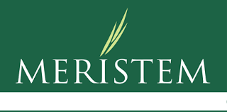 Meristem Securities Limited Starlet Program 2022 1