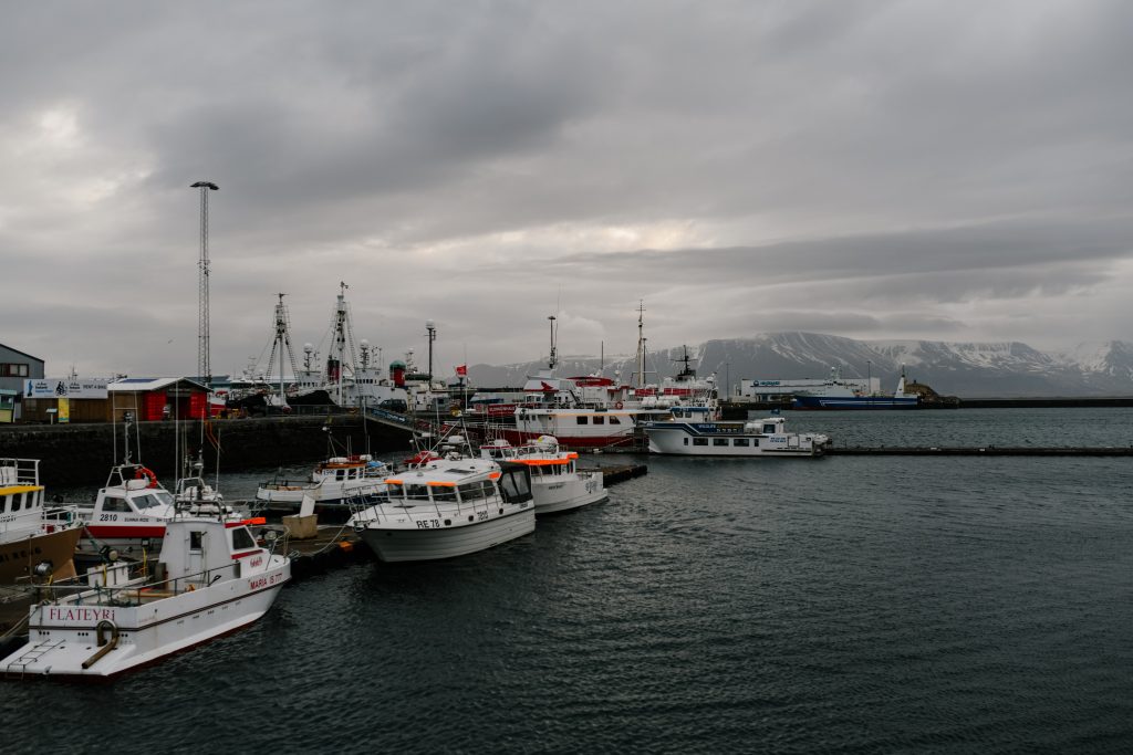 is marine transportation a good career path