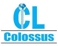 Colossus Investment Limited