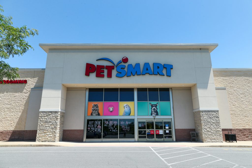 Does Petsmart Groom Guinea Pigs