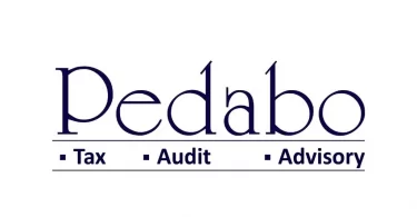 Pedabo Professional Services Young Talents Program 2022 1
